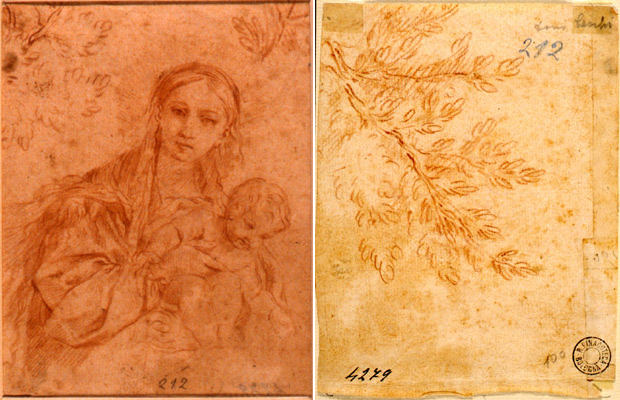Cantarini Simone-Madonna col bambino (recto) - Studio di ramo d'albero (verso)